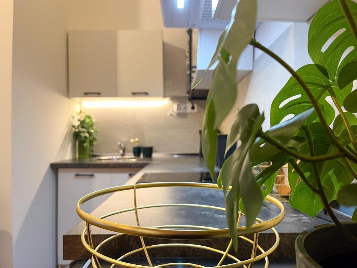 Green Goblin Apartment With Free Private Parking ブダペスト エクステリア 写真